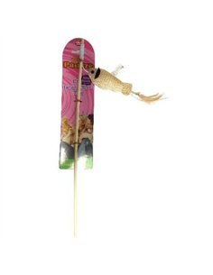 Paiatze Cat Undita Peste W1091