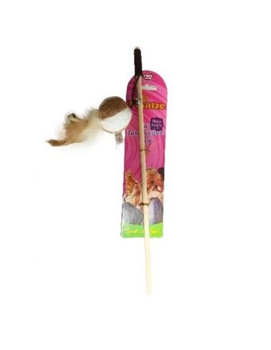 Paiatze Cat Undita Minge W5709