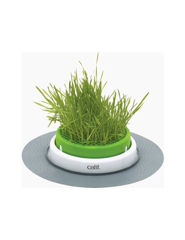 Catit senses dispozitiv plantat iarba