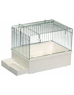 2 GR cadita externa 027P