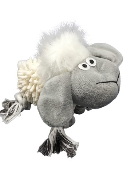 PAIATZE DOG PLUS OAIE 510-511