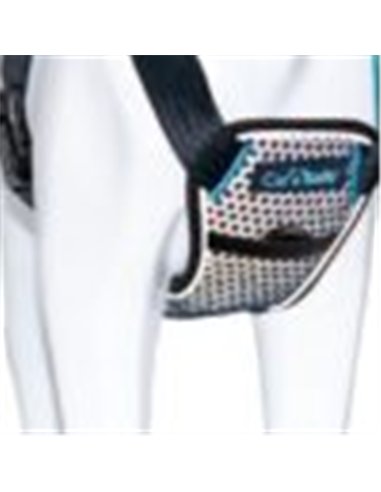 Coa ham caine carsafe travel black XS