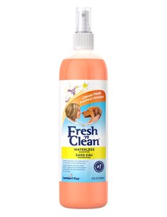 FRESH'N CLEAN SAMPON SPRAY WATERLESS 355 ML
