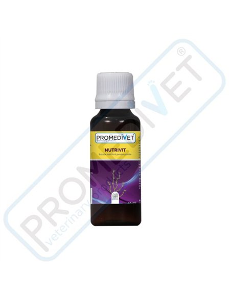 PROMEDIVET NUTRIVIT 100 ML