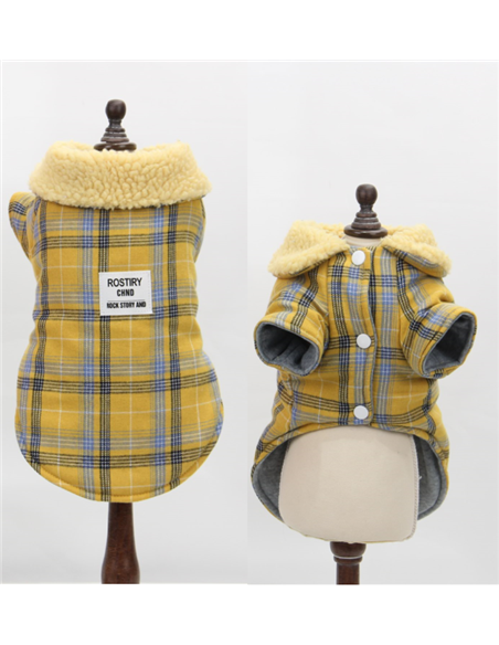 Pet Expert Haina Caine Yellow 25 Cm BO-Z22020