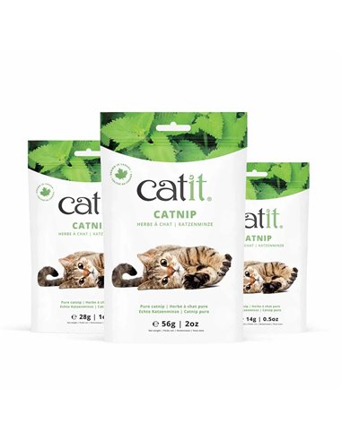 Catit Catnip 14 G 44770 