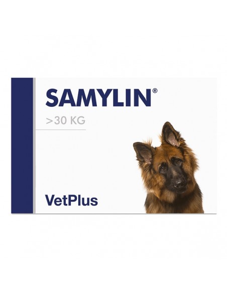 Supliment Samylin Large Breed, blister 10 tablete