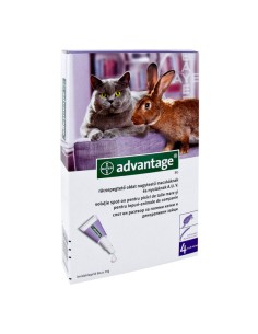 Advantage 80 pentru Pisici si Iepuri 4-8 kg, 1 pipeta