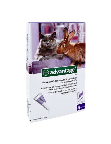 Advantage 80 pentru Pisici si Iepuri 4-8 kg, 1 pipeta