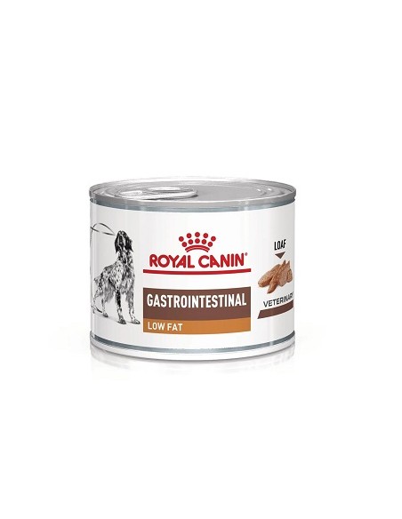 Royal Canin VD, Gastro Intestinal Low Fat Dog, Conserva 6X200 G
