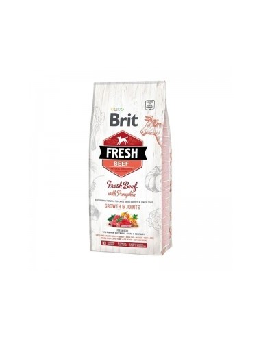 Brit Fresh Beef with Pumpkin Puppy Large, 2,5 kg