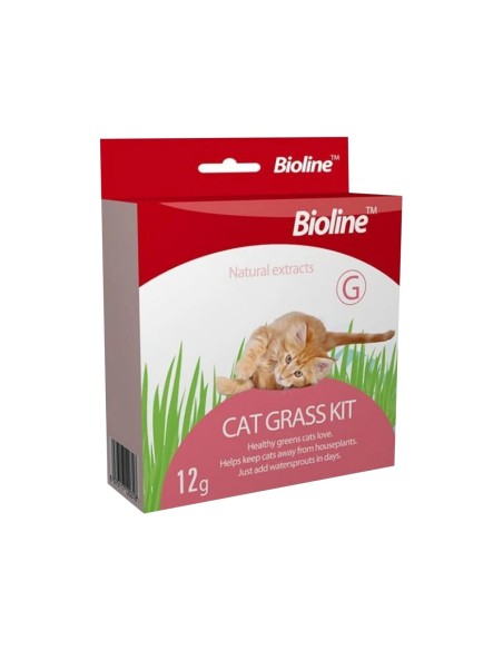 BIOLINE KIT IARBA PISICII 12G