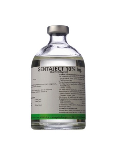 GENTA JECT 10% 100 ML