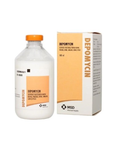 DEPOMYCIN 100ML