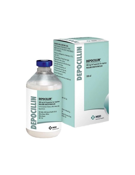 DEPOCILLIN 100ML