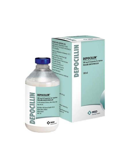 DEPOCILLIN 100ML