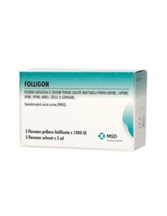 FOLLIGON 1000UI+5ML DIL 2
