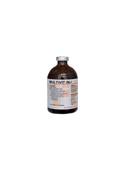 MULTIVIT INJECTABIL 100ML