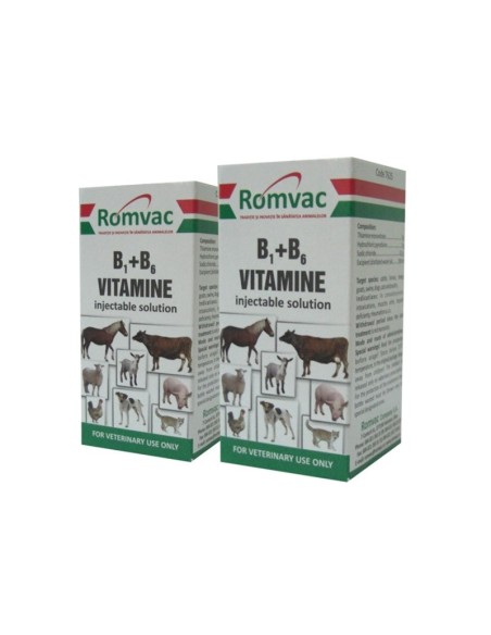 VITAMINA B1+B6 20ML