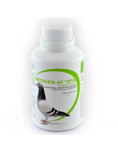 BEDGEN 40 SFA 100 ML