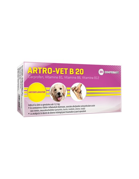 ANTIINFLAMATOR PENTRU CAINI ARTRO-VET B 20 2x10CP