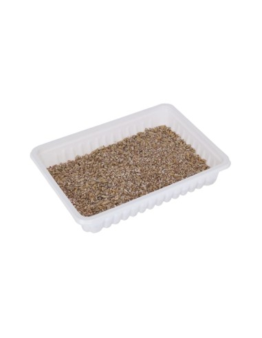 KERBL IARBA PISICII CASOLETA 100G