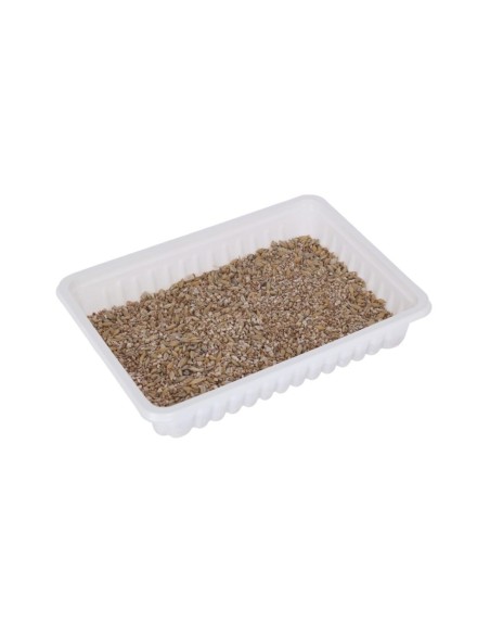 KERBL IARBA PISICII CASOLETA 100G