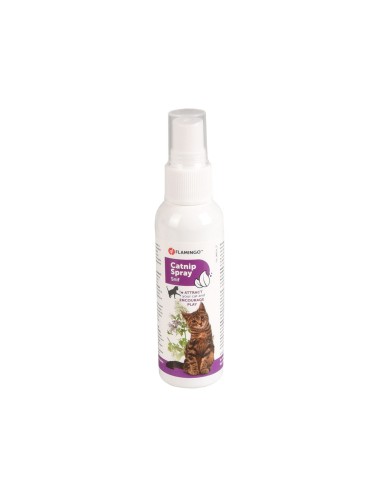 ATRACTANT SPRAY PENTRU PISICI CU IARBA-MATEI...