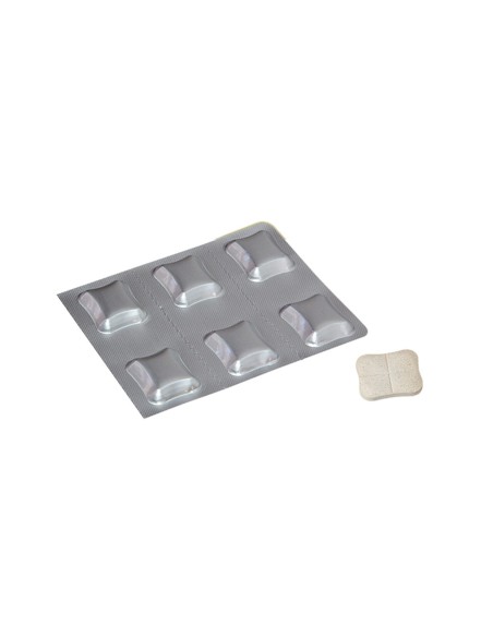 KESIUM 625MG ANTIINFECTIOS ORAL CAINI (BLISTERx6TB)