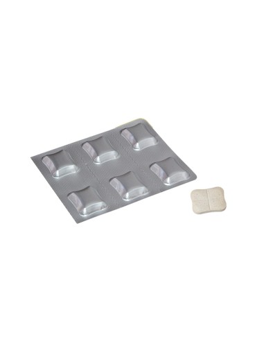 [PROMO] KESIUM 625MG ANTIINFECTIOS ORAL CAINI...