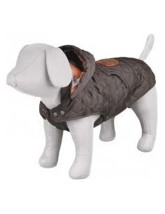 Hainuta Cervino, M 50 cm