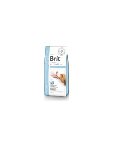 Brit VD Grain Free Obesity Caine, 2 kg