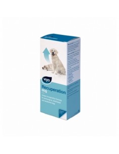 Supliment Viyo Recuperation Dog, 150ml