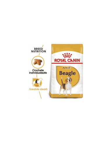 Royal Canin Beagle Adult, Caine 3 kg