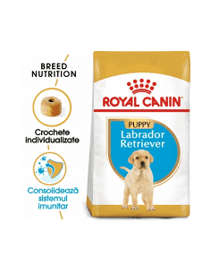 Royal Canin Labrador Puppy, 3 kg