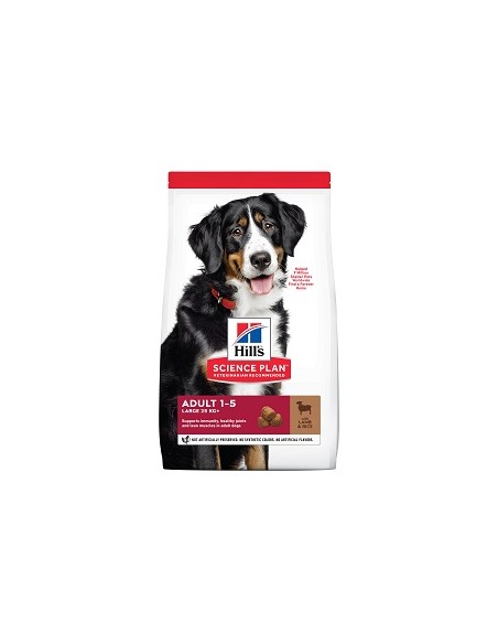 Hill's SP Canine Adult Large Breed cu Miel, 14 kg