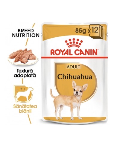 Plic Royal Canin Chihuahua Adult 12x85 g