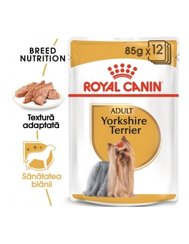 Plic Royal Canin, Yorkshire Adult, Caine 12 x 85 g
