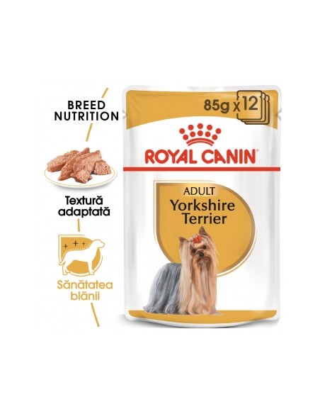 Plic Royal Canin, Yorkshire Adult, Caine 12 x 85 g