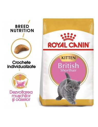 Royal Canin British Shorthair Kitten 10 kg