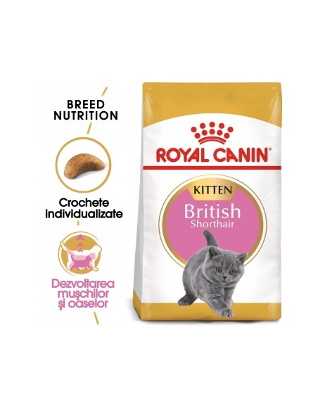 Royal Canin British Shorthair Kitten 10 kg