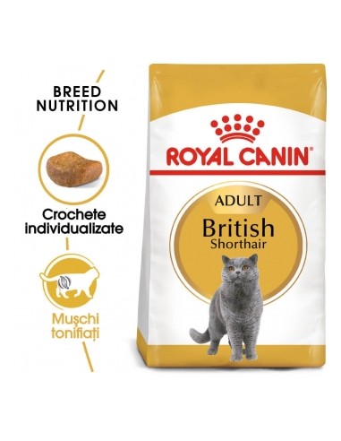 Royal Canin British Shorthair Adult 400 g