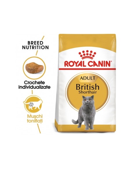 Royal Canin British Shorthair Adult 2Kg