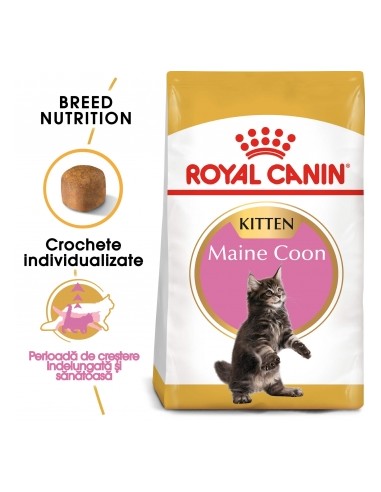 Royal Canin Maine Coon Adult, 10 kg