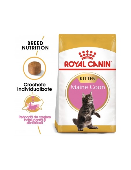 Royal Canin Maine Coon Adult, 10 kg