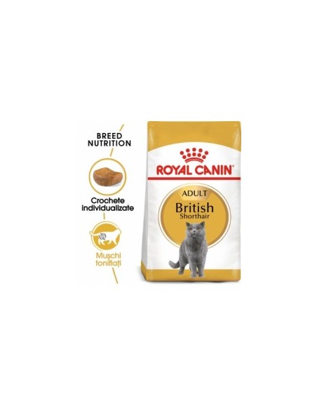 Royal Canin British Shorthair Adult 10 kg