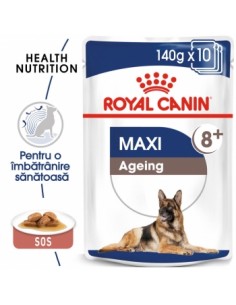 Plic Royal Canin, Maxi Ageing in Sos, Caine 10 x 140 g