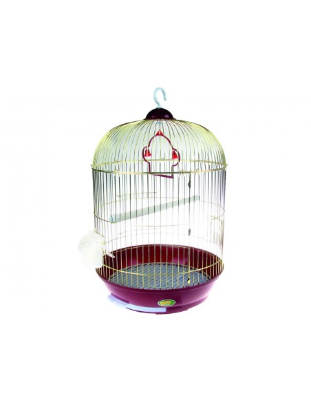 Tatrapet Colivie Rotunda Auriu Rondo, 211.39