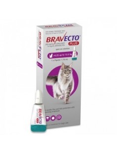 Bravecto Plus Spot On Cat 6.25-12.5 kg, 500 mg, 1 pipeta
