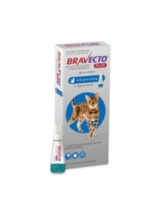 Bravecto Plus Spot On Cat 2.8-6.25 kg, 250 mg, 1 pipeta